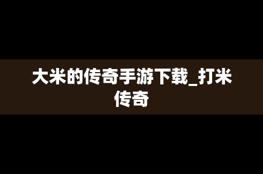 大米的传奇手游下载_打米传奇