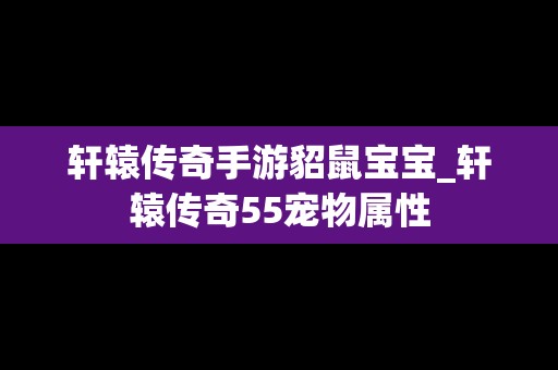 轩辕传奇手游貂鼠宝宝_轩辕传奇55宠物属性