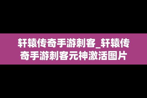 轩辕传奇手游刺客_轩辕传奇手游刺客元神激活图片