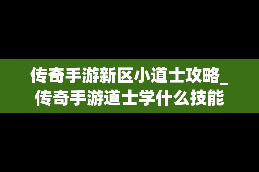传奇手游新区小道士攻略_传奇手游道士学什么技能