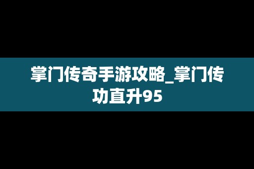 掌门传奇手游攻略_掌门传功直升95